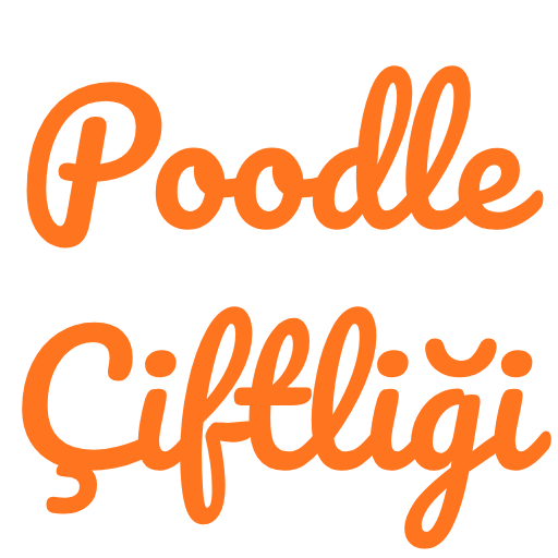 poodle-çiftliği